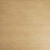 Sàn nhựa Arize WS901 - Hình ảnh 2