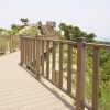Thanh lam gỗ nhựa lỗi nhôm Arize 45*75 - Hình ảnh 15